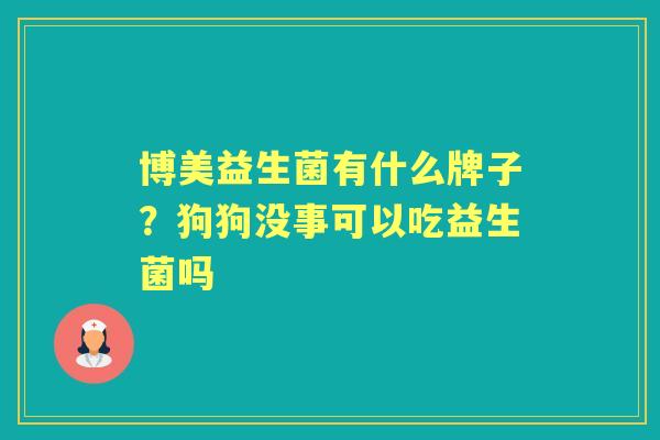 博美益生菌有什么牌子?狗狗没事可以吃益生菌吗 博美益生菌有什么牌子?狗狗没事可以吃益生菌吗