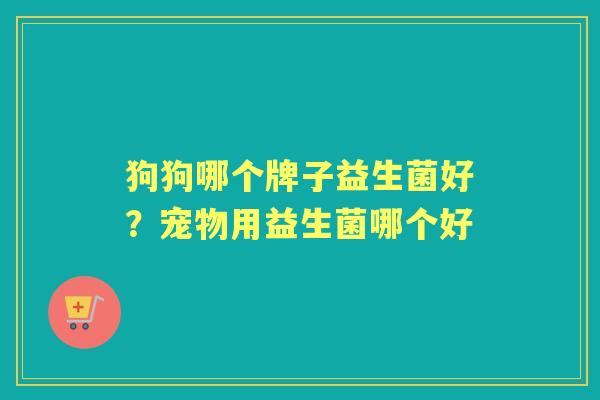 狗狗哪个牌子益生菌好?宠物用益生菌哪个好 狗狗哪个牌子益生菌好?宠物用益生菌哪个好