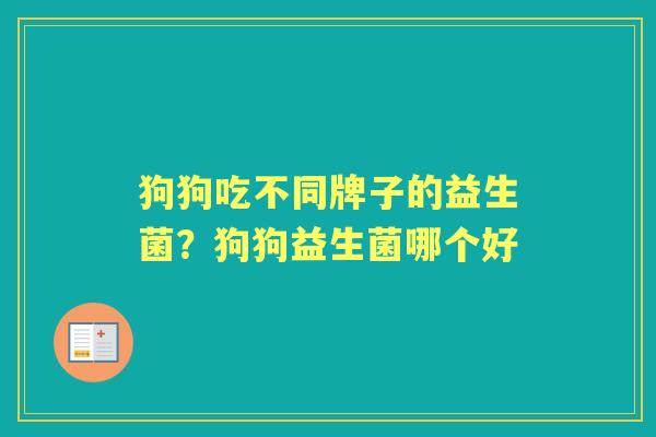 狗狗吃不同牌子的益生菌?狗狗益生菌哪个好 狗狗吃不同牌子的益生菌?狗狗益生菌哪个好