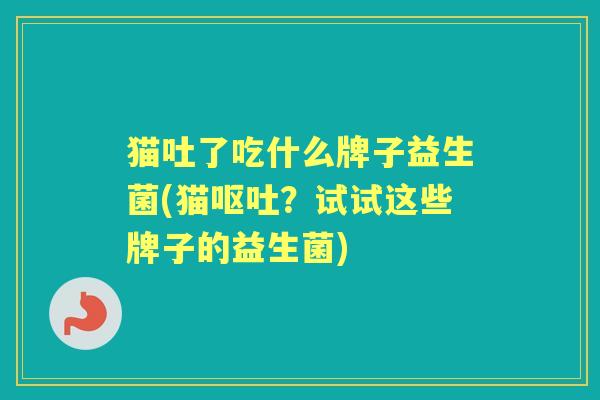 猫吐了吃什么牌子益生菌(猫？试试这些牌子的益生菌)