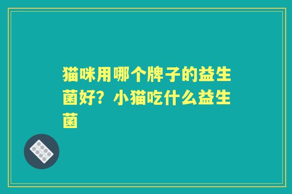 猫咪用哪个牌子的益生菌好?小猫吃什么益生菌 猫咪用哪个牌子的益生菌好?小猫吃什么益生菌