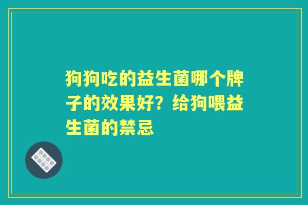 狗狗吃的益生菌哪个牌子的效果好?给狗喂益生菌的禁忌 狗狗吃的益生菌哪个牌子的效果好?给狗喂益生菌的禁忌