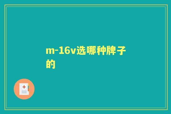 m-16v选哪种牌子的 m-16v选哪种牌子的