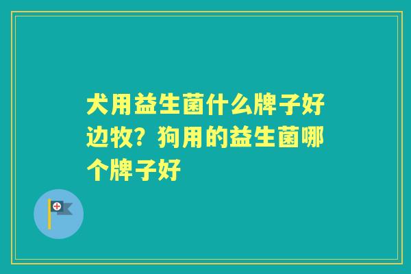 犬用益生菌什么牌子好边牧?狗用的益生菌哪个牌子好 犬用益生菌什么牌子好边牧?狗用的益生菌哪个牌子好