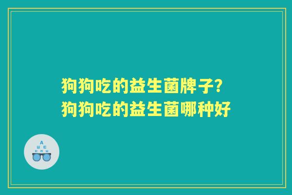 狗狗吃的益生菌牌子?狗狗吃的益生菌哪种好 狗狗吃的益生菌牌子?狗狗吃的益生菌哪种好