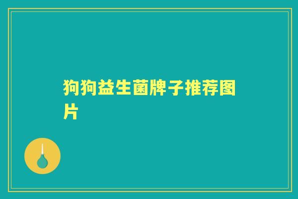 狗狗益生菌牌子推荐图片