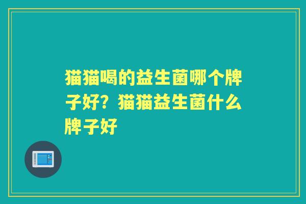 猫猫喝的益生菌哪个牌子好?猫猫益生菌什么牌子好 猫猫喝的益生菌哪个牌子好?猫猫益生菌什么牌子好