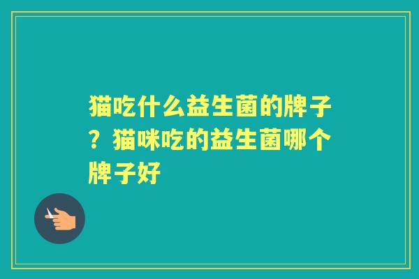 猫吃什么益生菌的牌子?猫咪吃的益生菌哪个牌子好 猫吃什么益生菌的牌子?猫咪吃的益生菌哪个牌子好