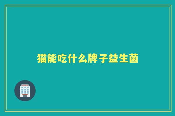 猫能吃什么牌子益生菌 猫能吃什么牌子益生菌