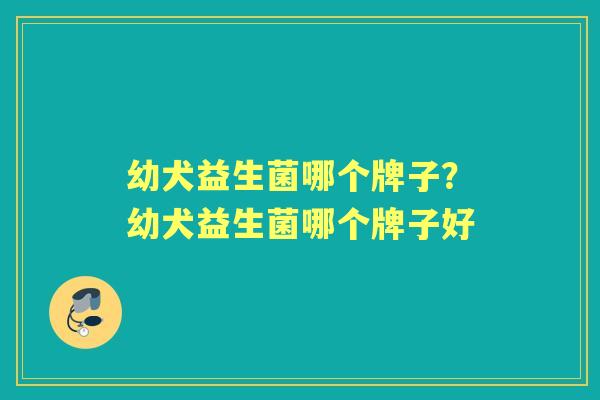 幼犬益生菌哪个牌子？幼犬益生菌哪个牌子好