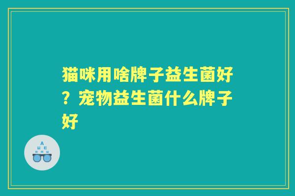 猫咪用啥牌子益生菌好?宠物益生菌什么牌子好 猫咪用啥牌子益生菌好?宠物益生菌什么牌子好