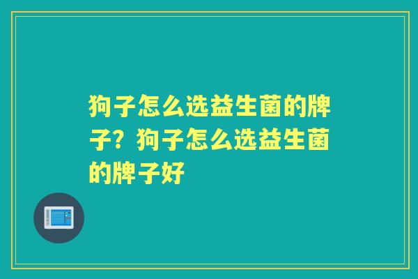 狗子怎么选益生菌的牌子?狗子怎么选益生菌的牌子好 狗子怎么选益生菌的牌子?狗子怎么选益生菌的牌子好