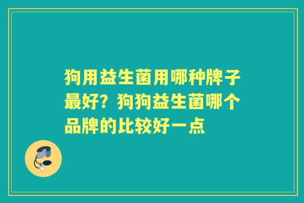 狗用益生菌用哪种牌子好?狗狗益生菌哪个品牌的比较好一点 狗用益生菌用哪种牌子好?狗狗益生菌哪个品牌的比较好一点