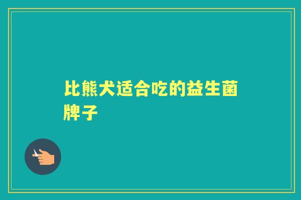 比熊犬适合吃的益生菌牌子