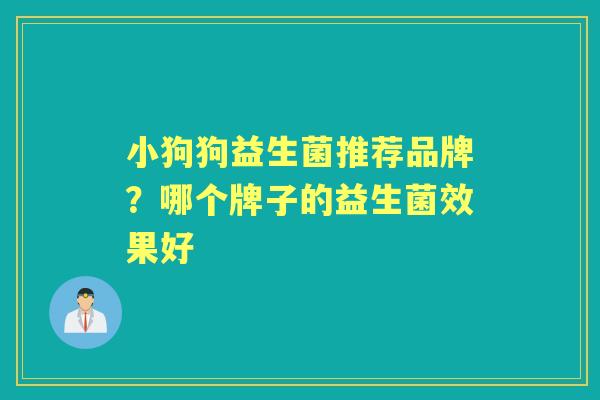 小狗狗益生菌推荐品牌？哪个牌子的益生菌效果好