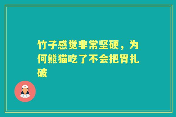 竹子感觉非常坚硬，为何熊猫吃了不会把胃扎破