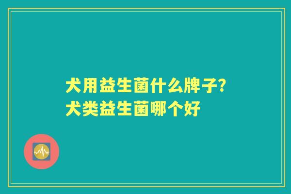 犬用益生菌什么牌子?犬类益生菌哪个好 犬用益生菌什么牌子?犬类益生菌哪个好