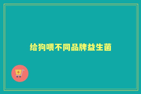 给狗喂不同品牌益生菌