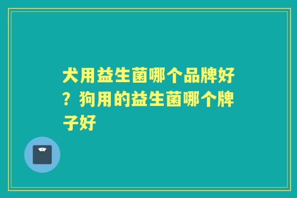 犬用益生菌哪个品牌好?狗用的益生菌哪个牌子好 犬用益生菌哪个品牌好?狗用的益生菌哪个牌子好