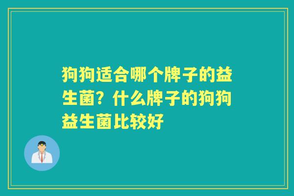 狗狗适合哪个牌子的益生菌?什么牌子的狗狗益生菌比较好 狗狗适合哪个牌子的益生菌?什么牌子的狗狗益生菌比较好