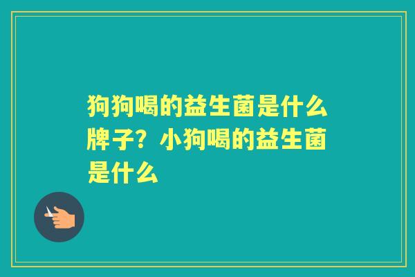 狗狗喝的益生菌是什么牌子?小狗喝的益生菌是什么 狗狗喝的益生菌是什么牌子?小狗喝的益生菌是什么