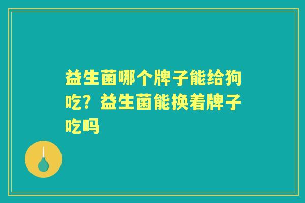 益生菌哪个牌子能给狗吃?益生菌能换着牌子吃吗 益生菌哪个牌子能给狗吃?益生菌能换着牌子吃吗