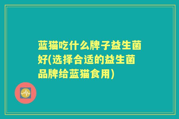 蓝猫吃什么牌子益生菌好(选择合适的益生菌品牌给蓝猫食用)