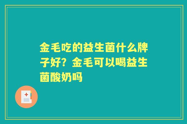 金毛吃的益生菌什么牌子好?金毛可以喝益生菌酸奶吗 金毛吃的益生菌什么牌子好?金毛可以喝益生菌酸奶吗