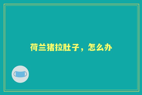 荷兰猪拉肚子,怎么办 荷兰猪拉肚子,怎么办