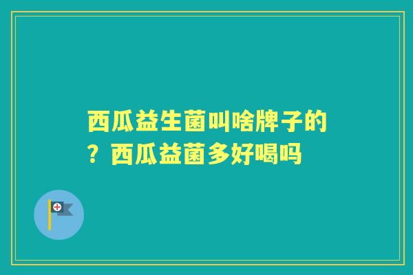 西瓜益生菌叫啥牌子的？西瓜益菌多好喝吗