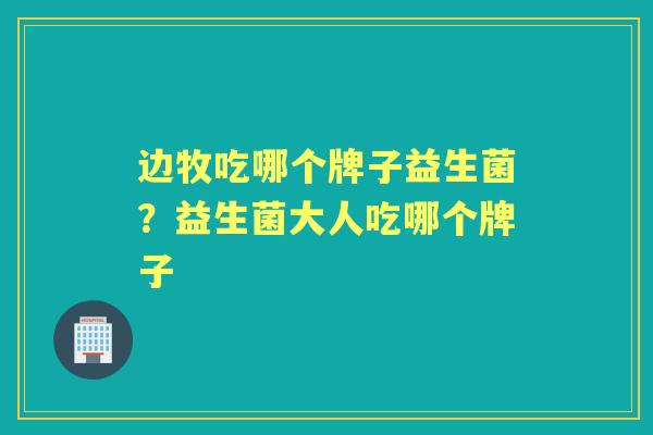边牧吃哪个牌子益生菌?益生菌大人吃哪个牌子 边牧吃哪个牌子益生菌?益生菌大人吃哪个牌子