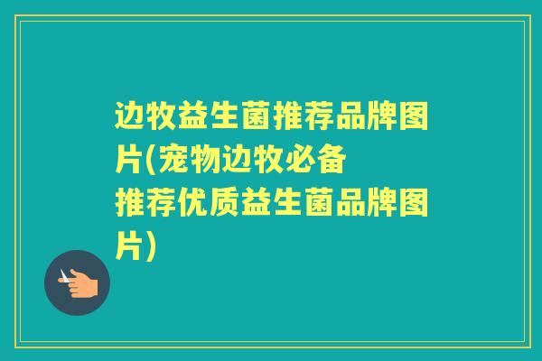 边牧益生菌推荐品牌图片(宠物边牧必备  推荐优质益生菌品牌图片)