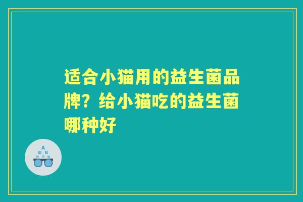 适合小猫用的益生菌品牌?给小猫吃的益生菌哪种好 适合小猫用的益生菌品牌?给小猫吃的益生菌哪种好