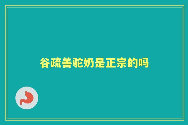 谷疏善驼奶是正宗的吗 谷疏善驼奶是正宗的吗