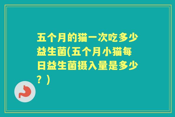 五个月的猫一次吃多少益生菌(五个月小猫每日益生菌摄入量是多少?) 五个月的猫一次吃多少益生菌(五个月小猫每日益生菌摄入量是多少?)