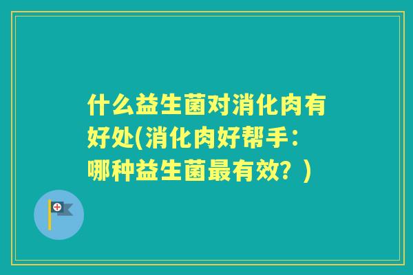 什么益生菌对消化肉有好处(消化肉好帮手：哪种益生菌有效？)