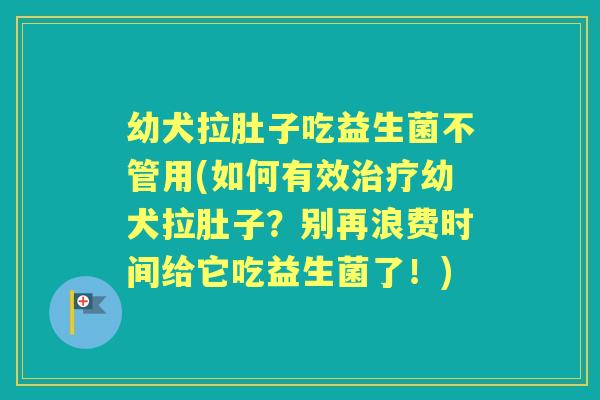 幼犬拉肚子吃益生菌不管用(如何有效幼犬拉肚子?别再浪费时间给它吃益生菌了!) 幼犬拉肚子吃益生菌不管用(如何有效幼犬拉肚子?别再浪费时间给它吃益生菌了!)