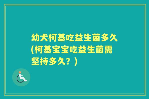 幼犬柯基吃益生菌多久(柯基宝宝吃益生菌需坚持多久?) 幼犬柯基吃益生菌多久(柯基宝宝吃益生菌需坚持多久?)