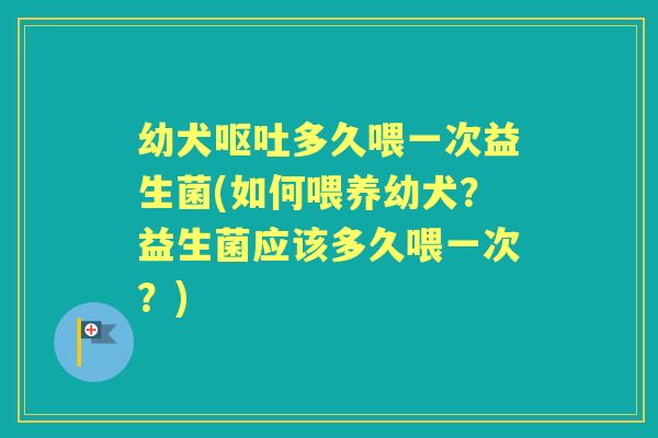 幼犬多久喂一次益生菌(如何喂养幼犬?益生菌应该多久喂一次?) 幼犬多久喂一次益生菌(如何喂养幼犬?益生菌应该多久喂一次?)