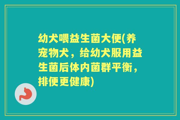 幼犬喂益生菌大便(养宠物犬,给幼犬服用益生菌后体内菌群平衡,排便更健康) 幼犬喂益生菌大便(养宠物犬,给幼犬服用益生菌后体内菌群平衡,排便更健康)
