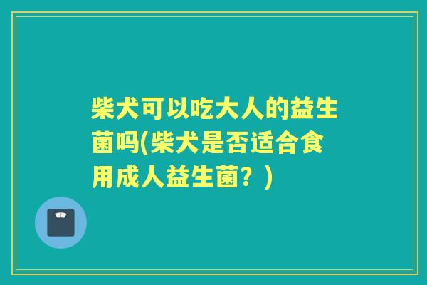 柴犬可以吃大人的益生菌吗(柴犬是否适合食用成人益生菌?) 柴犬可以吃大人的益生菌吗(柴犬是否适合食用成人益生菌?)