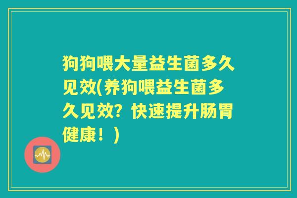 狗狗喂大量益生菌多久见效(养狗喂益生菌多久见效?快速提升肠胃健康!) 狗狗喂大量益生菌多久见效(养狗喂益生菌多久见效?快速提升肠胃健康!)
