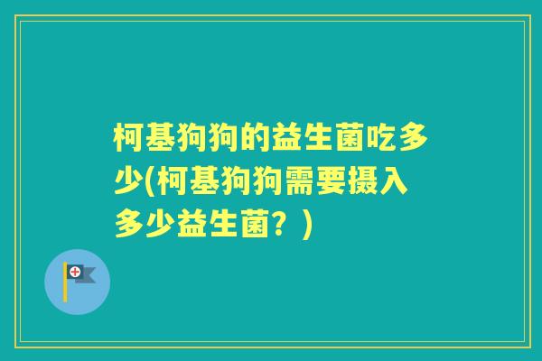 柯基狗狗的益生菌吃多少(柯基狗狗需要摄入多少益生菌?) 柯基狗狗的益生菌吃多少(柯基狗狗需要摄入多少益生菌?)