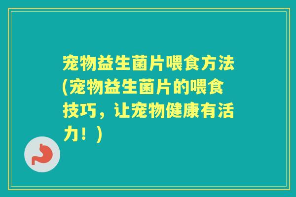 宠物益生菌片喂食方法(宠物益生菌片的喂食技巧,让宠物健康有活力!) 宠物益生菌片喂食方法(宠物益生菌片的喂食技巧,让宠物健康有活力!)