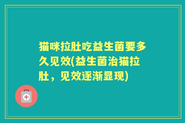 猫咪拉肚吃益生菌要多久见效(益生菌猫拉肚，见效逐渐显现)