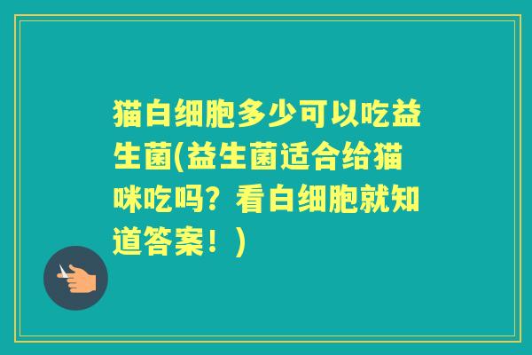 猫多少可以吃益生菌(益生菌适合给猫咪吃吗？看就知道答案！)