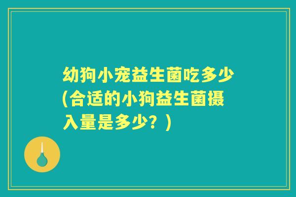 幼狗小宠益生菌吃多少(合适的小狗益生菌摄入量是多少？)