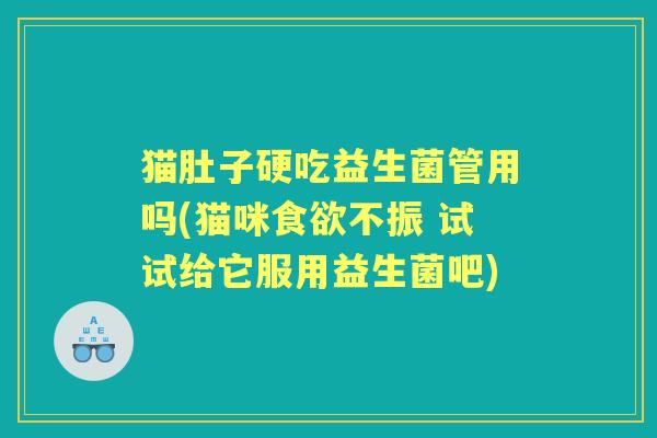猫肚子硬吃益生菌管用吗(猫咪不振 试试给它服用益生菌吧)