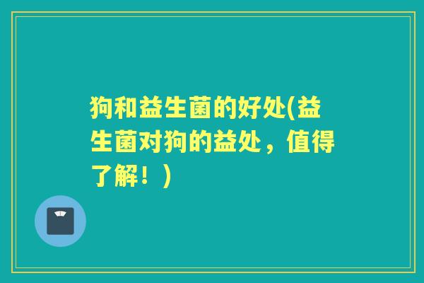 狗和益生菌的好处(益生菌对狗的益处,值得了解!) 狗和益生菌的好处(益生菌对狗的益处,值得了解!)