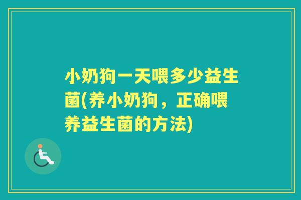 小奶狗一天喂多少益生菌(养小奶狗,正确喂养益生菌的方法) 小奶狗一天喂多少益生菌(养小奶狗,正确喂养益生菌的方法)